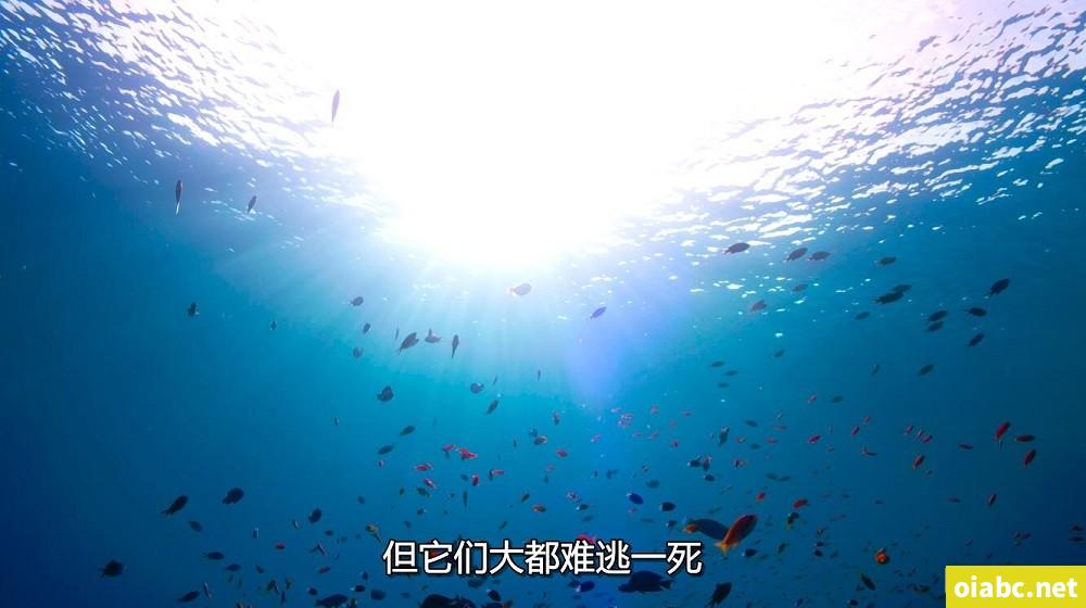 年轻妻子的工作剧照3